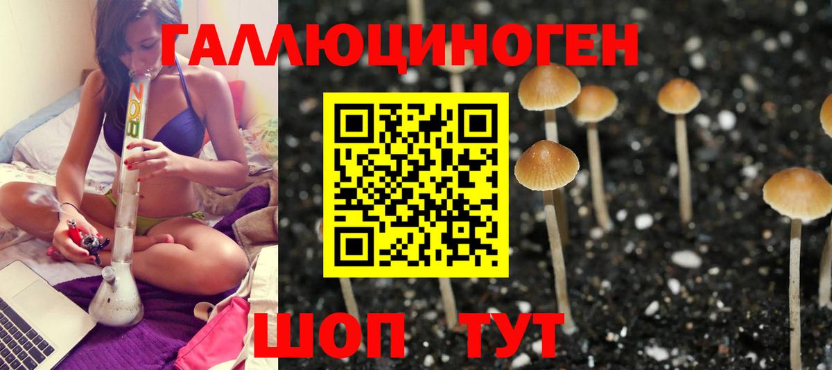 Галлюциногенные грибы мицелий Славянск-на-Кубани