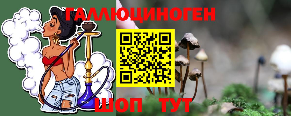 Псилоцибиновые грибы мицелий  что такое   Славянск-на-Кубани  Вход с VPN 